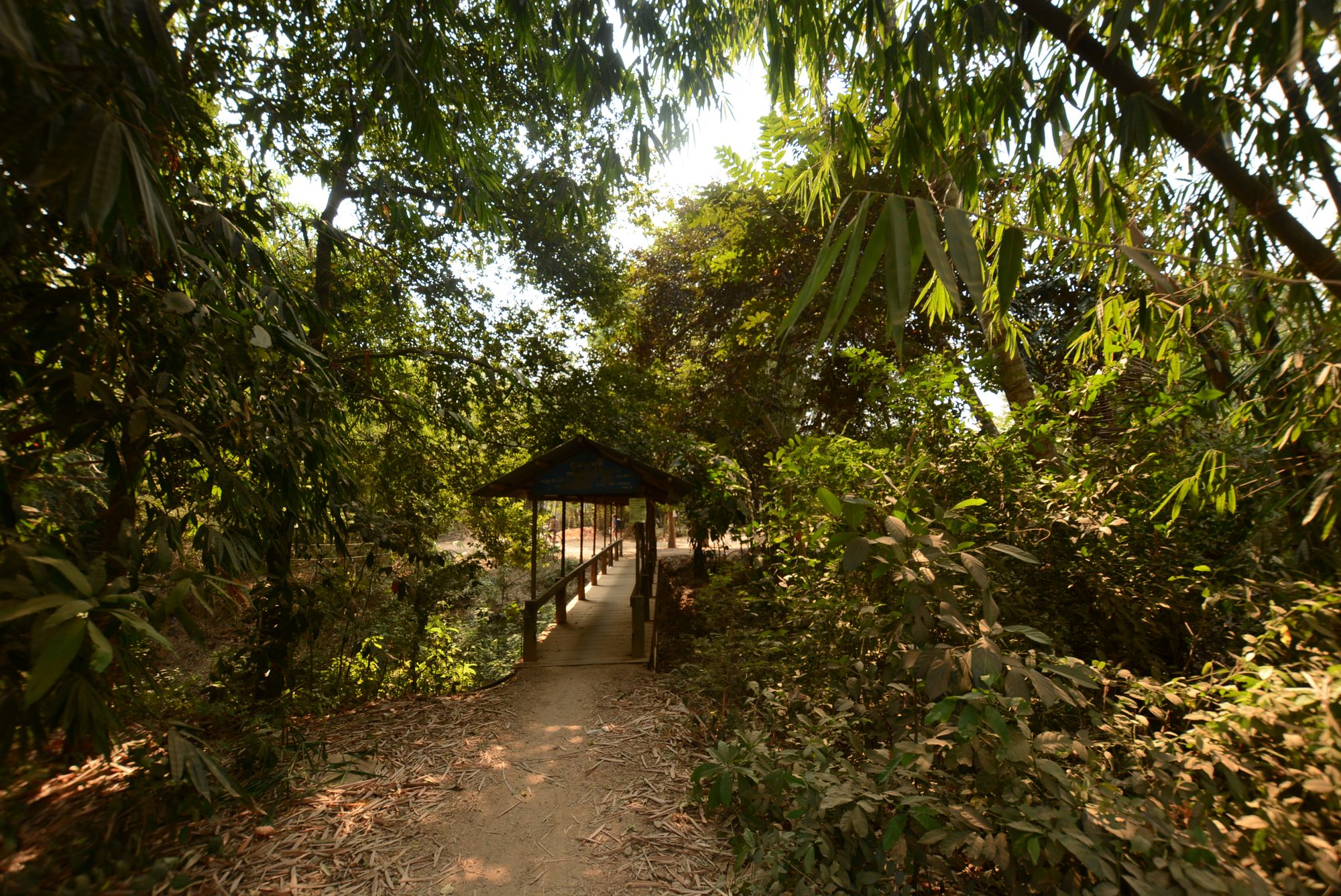 Siem Reap / Battambang
