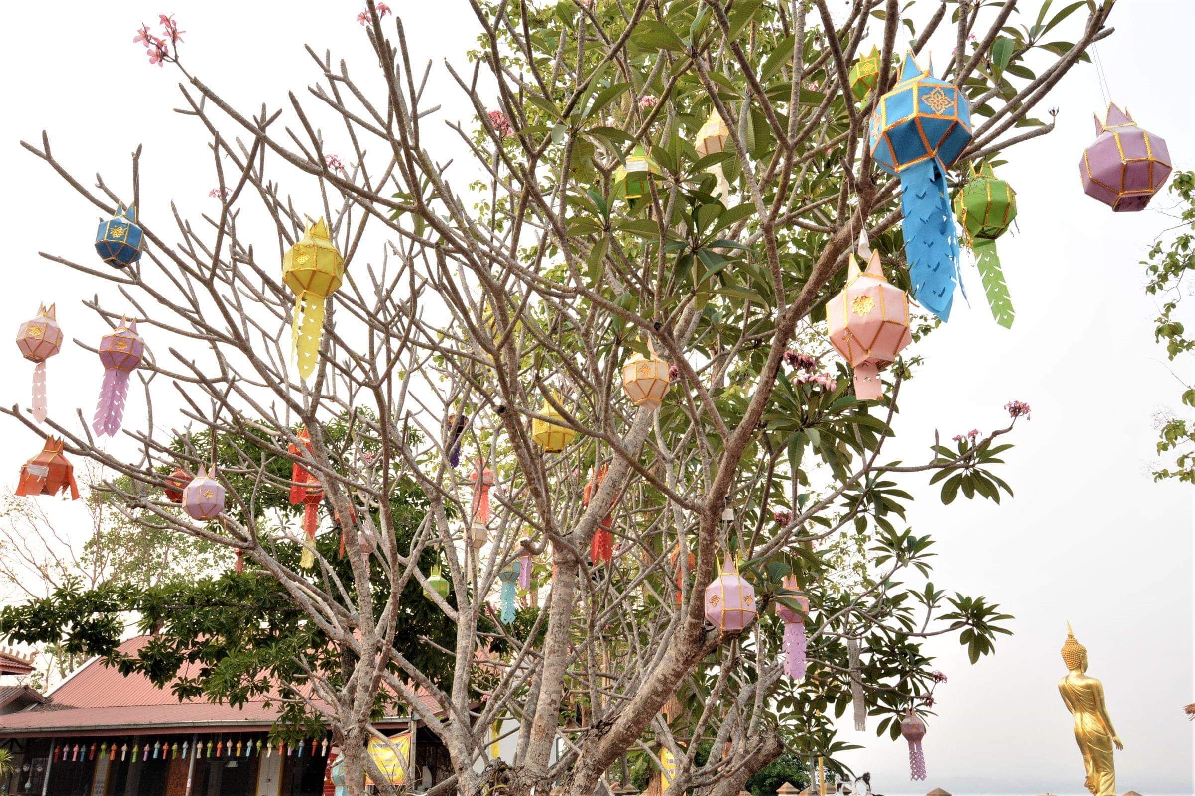 Lampang / Nan / Chiang Maï