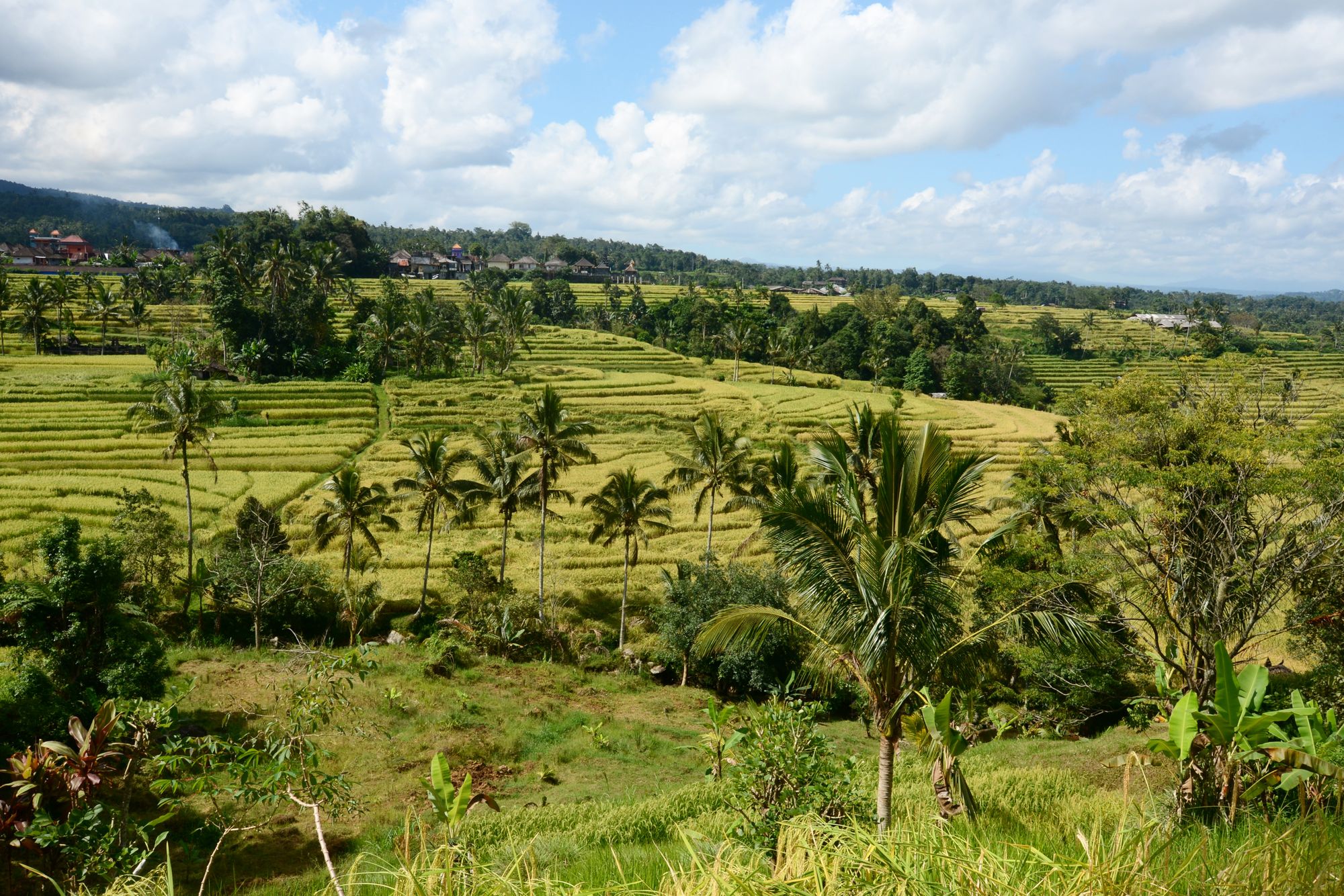 Bali de long en large